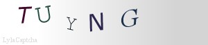 Span Validation