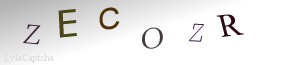 Span Validation