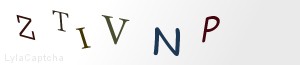 Span Validation
