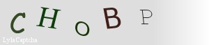 Span Validation