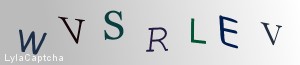 Span Validation