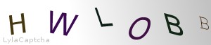 Span Validation